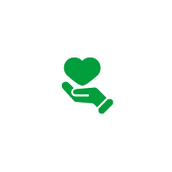 Icon Führsorgefonds